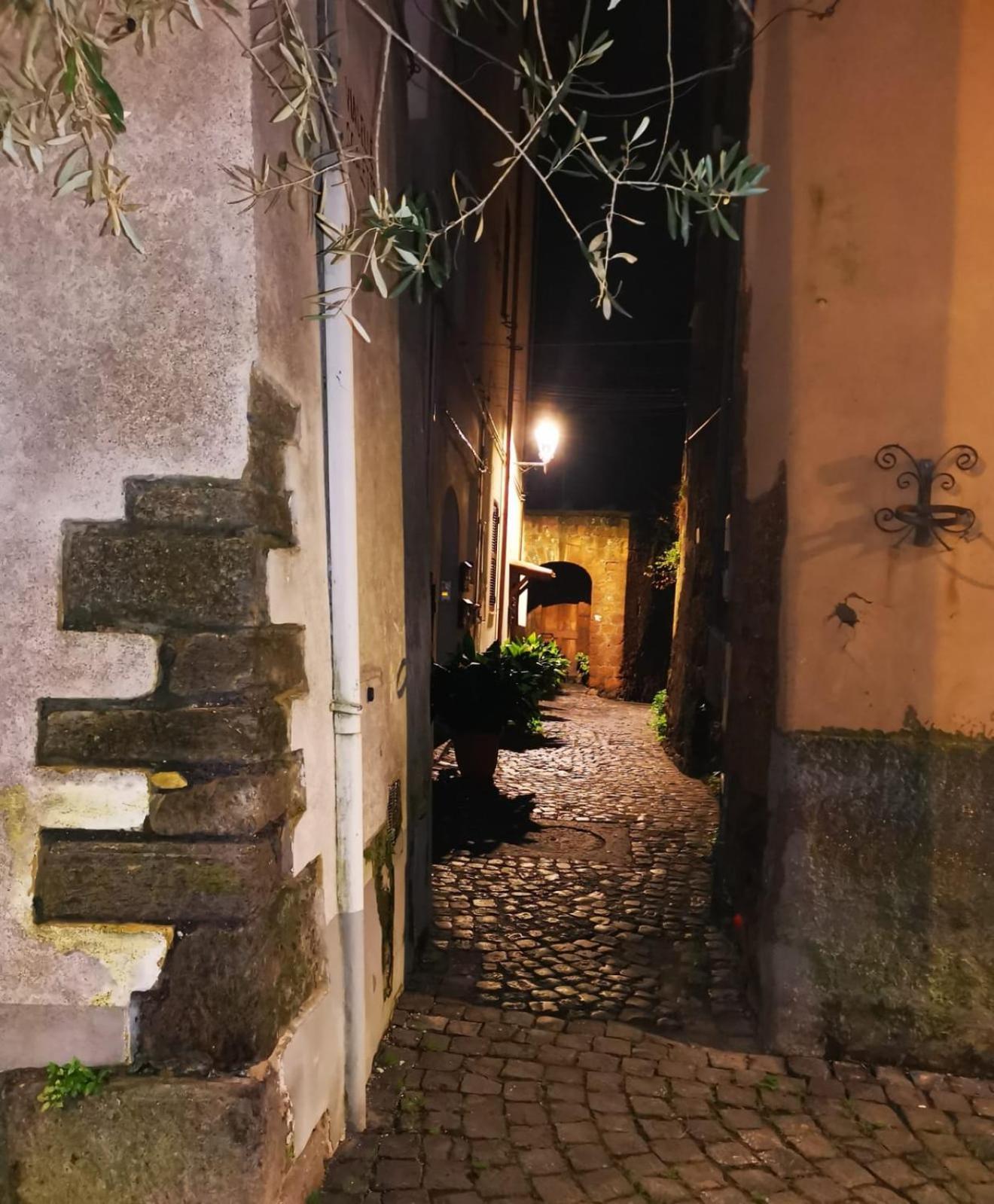 Casa Nena Hotel Nepi Kültér fotó